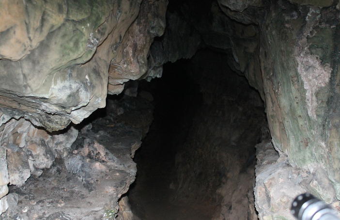The Caves